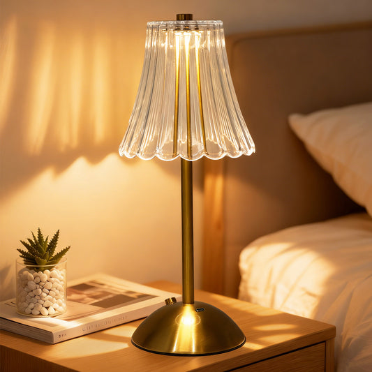 Portable LED Desk Lamps